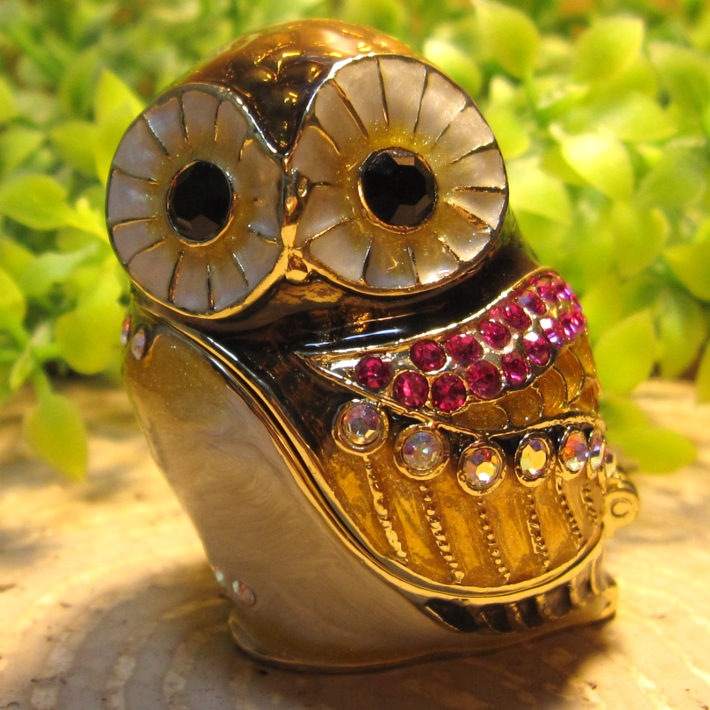 �ե���������ʪ���դ���������ʪ���졡�����桡�����롡�ﵯʪ�����奨�꡼������������Ȣ���ȥꥱ��ܥå���������ƥꥢ