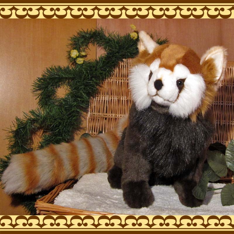 ��å����ѥ���ʥ�åɥѥ���ˡ��ꥢ���ưʪ�Τ̤�����ߡ�