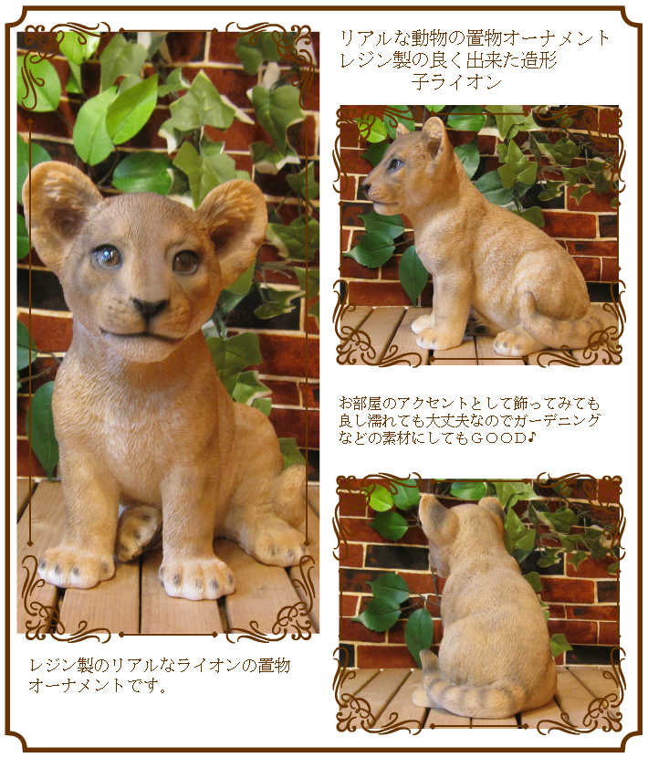 ���������Υ���ƥꥢ�ˤ����Υ����ʥ��ȤȤ��Ƥ�����ꥢ���ưʪ����ʪ���٥ӡ��饤���󡡥��֥����������ǥ˥�