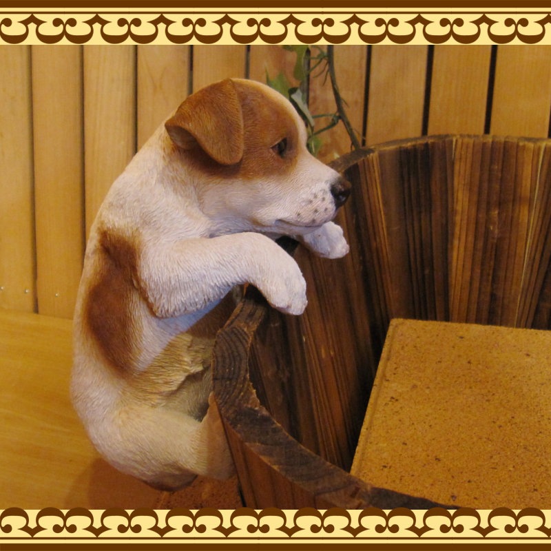 ���������Υ���ƥꥢ�ˤ����Υ����ʥ��ȤȤ��Ƥ�����ꥢ��ʸ�����ʪ���֤餵���ꥸ��å���å���ƥꥢ�����̤Υե�����