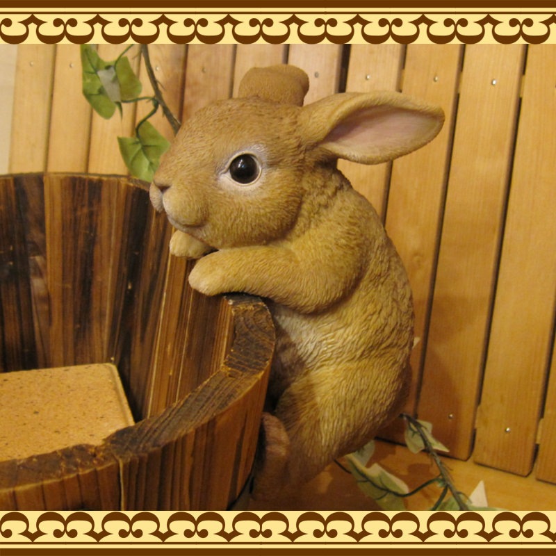 ���������Υ���ƥꥢ�ˤ����Υ����ʥ��ȤȤ��Ƥ�����ꥢ��ʥ���������ʪ���֤餵�����ӥåȡ��������Υե�����