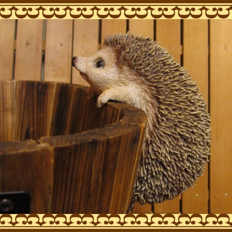 ϥͥߤʪ֤餵ꡡإåۥåꥢ롡Ϥͤߡ֥ǥ󡡥٥ȡʥ