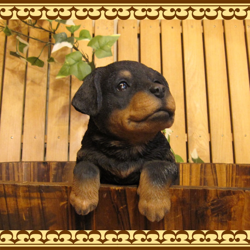 ���������Υ���ƥꥢ�ˤ����Υ����ʥ��ȤȤ��Ƥ�����ꥢ��ʸ�����ʪ���֤餵������åȥ磻�顼�����̤Υե�����