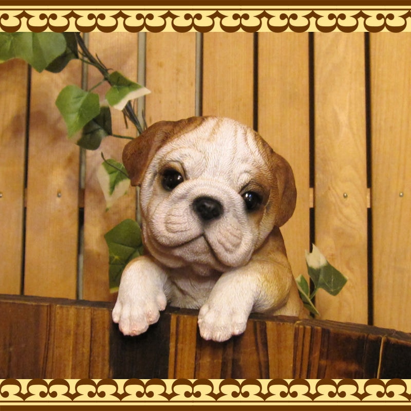 ���������Υ���ƥꥢ�ˤ����Υ����ʥ��ȤȤ��Ƥ�����ꥢ��ʸ�����ʪ���֤餵����֥�ɥå������̤Υե�����