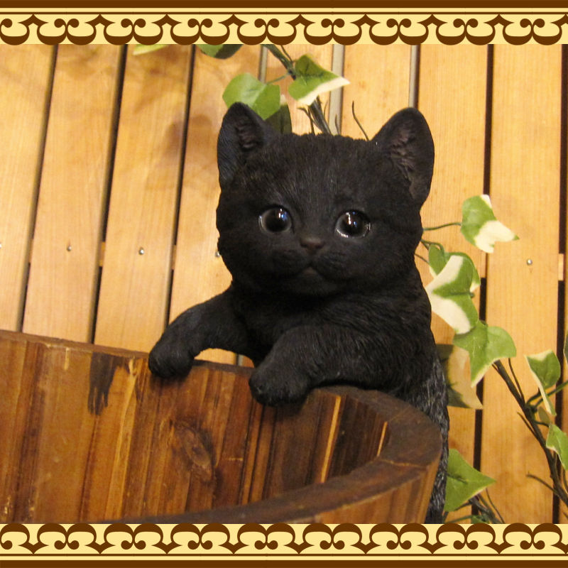 ���������Υ���ƥꥢ�ˤ����Υ����ʥ��ȤȤ��Ƥ�����ꥢ��ʻҥͥ�����ʪ���֤餵����٥ӡ�����å� �֥�å����Ҥͤ��Υե�����