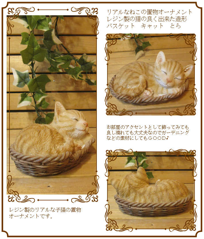 ���������Υ���ƥꥢ�˥����ǥ˥󥰤��Ǻ�ˤˡ��ꥢ��ʻ�ǭ����ʪ���쥸�������Х����åȥ���åȡ��Ȥ顡�ҥͥ��Υե�����