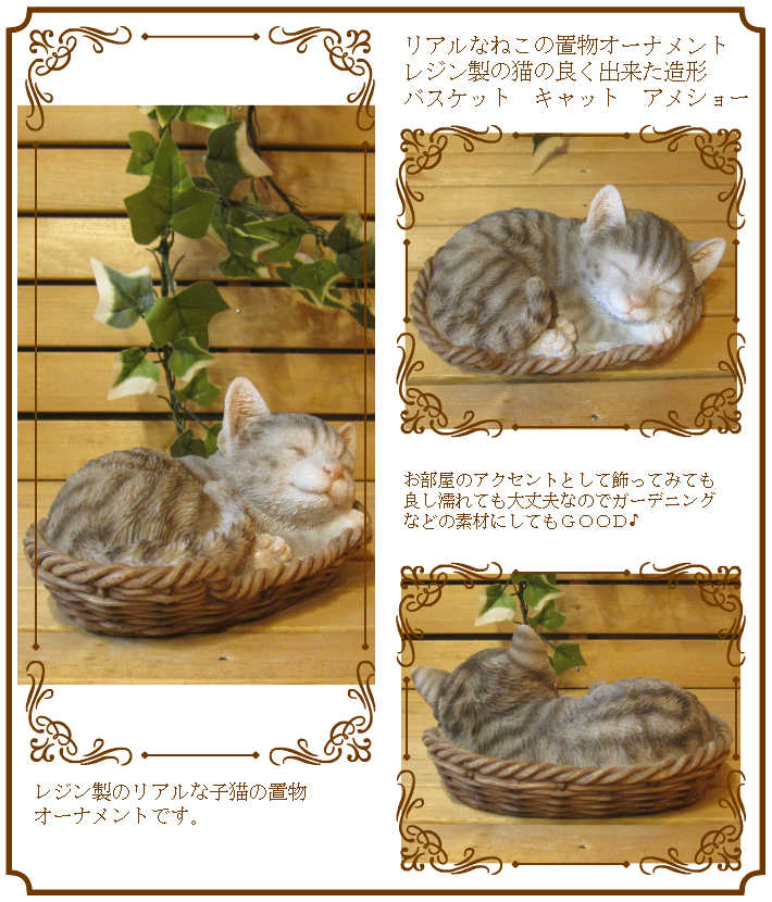 ���������Υ���ƥꥢ�˥����ǥ˥󥰤��Ǻ�ˤˡ��ꥢ��ʻ�ǭ����ʪ���쥸�������Х����åȥ���åȡ����᥷�硼���ҥͥ��Υե�����