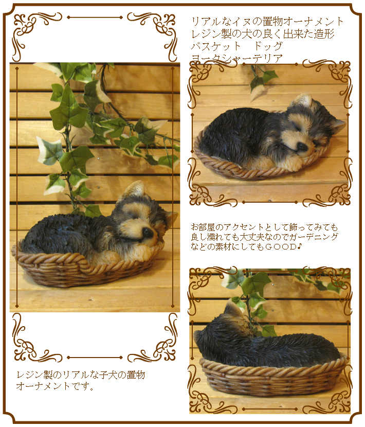 ���������Υ���ƥꥢ�ˤ����Υ����ʥ��ȤȤ��Ƥ�����ꥢ��ʸ�����ʪ���Х����åȥɥå����衼�����㡼�ƥꥢ�����Ҹ��Υե�����