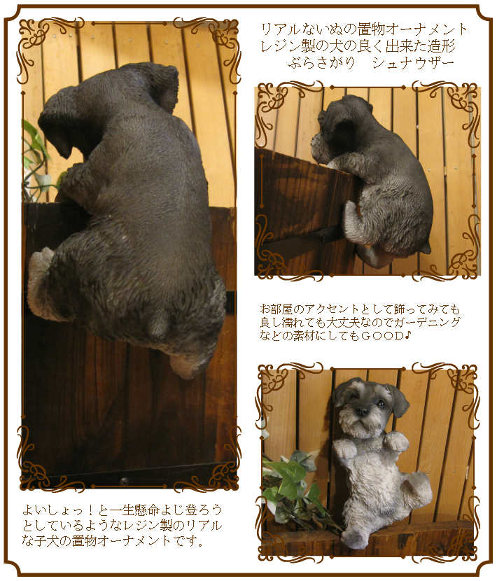 ʥʪꥢʸʪ֤餵ɥå̤ΥեΥƥꥢˤΥʥȤȤƤ