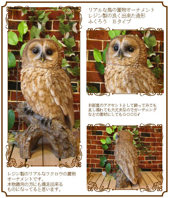 ΥƥꥢˤΥʥȤȤƤ礭ƥꥢĻʪդ¥סեΥե