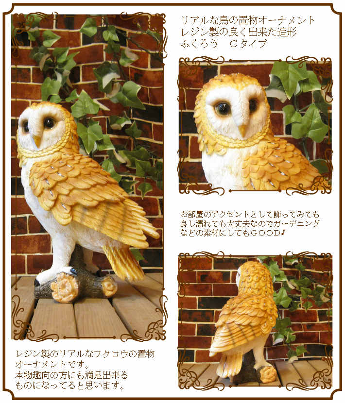 ΥƥꥢˤΥʥȤȤƤꥢĻʪդåסեΥե奢