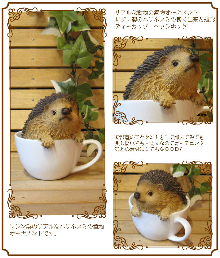 �ꥢ��ʥϥ�ͥ��ߤ���ʪ���ƥ������åס��Ϥ�ͤ��ߡ��������ס��������Υ���ƥꥢ�ˤ����Υ����ʥ��ȤȤ��Ƥ���������ǥ˥󥰡����֥�����������