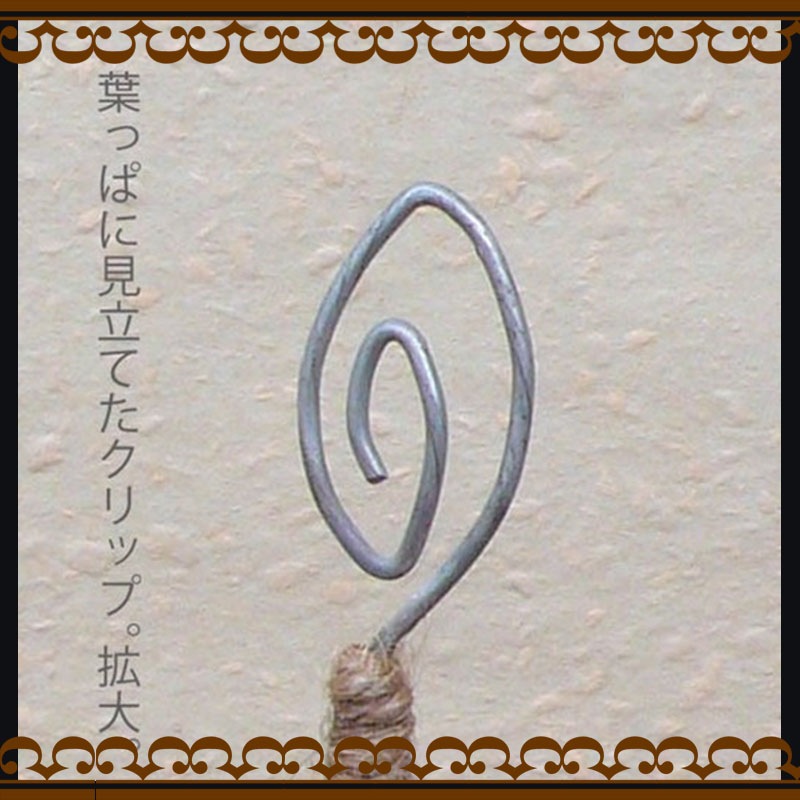 Humming Bird �����ɥ������  �դ�����