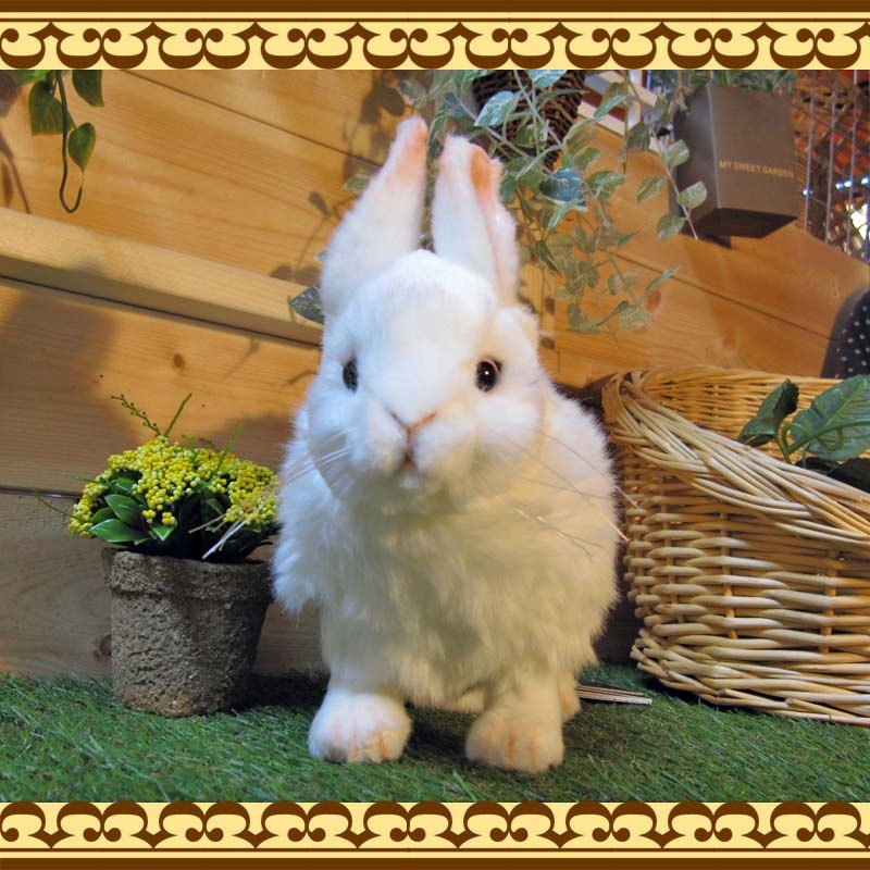 �㤦�������������ס��ꥢ��ʥ������Τ̤�����ߡ�����������ʪ����ӥåȥ��֥��������١�������ꡡ����ƥꥢ���Хˡ����å����ե����奢