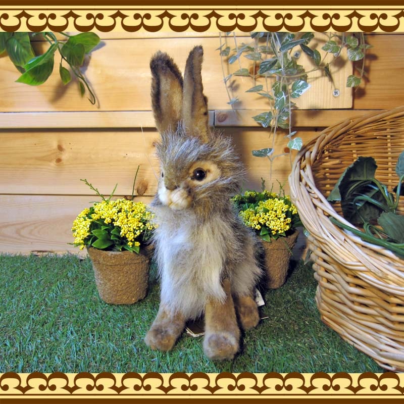 ���������������������ס��ꥢ��ʤ������Τ̤�����ߡ�