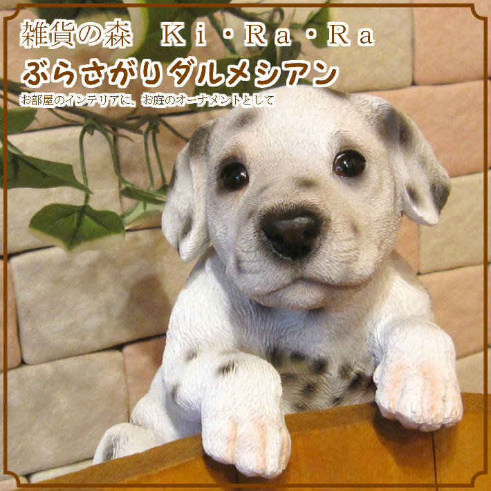 ᥷ʪꥢʸΥ֥֤餵ɥå̤ΥեΥƥꥢˤΥʥȤȤƤ