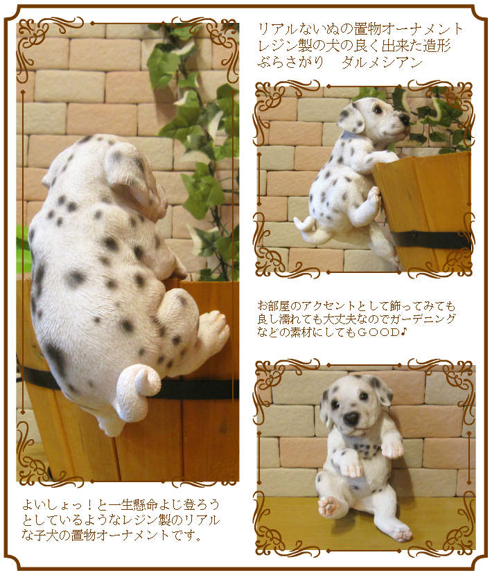 ᥷ʪꥢʸΥ֥֤餵ɥå̤ΥեΥƥꥢˤΥʥȤȤƤ