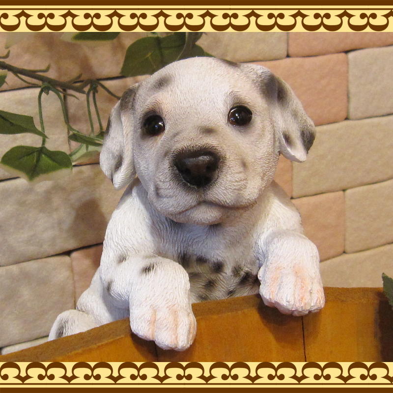 ᥷ʪꥢʸΥ֥֤餵ɥå̤ΥեΥƥꥢˤΥʥȤȤƤ