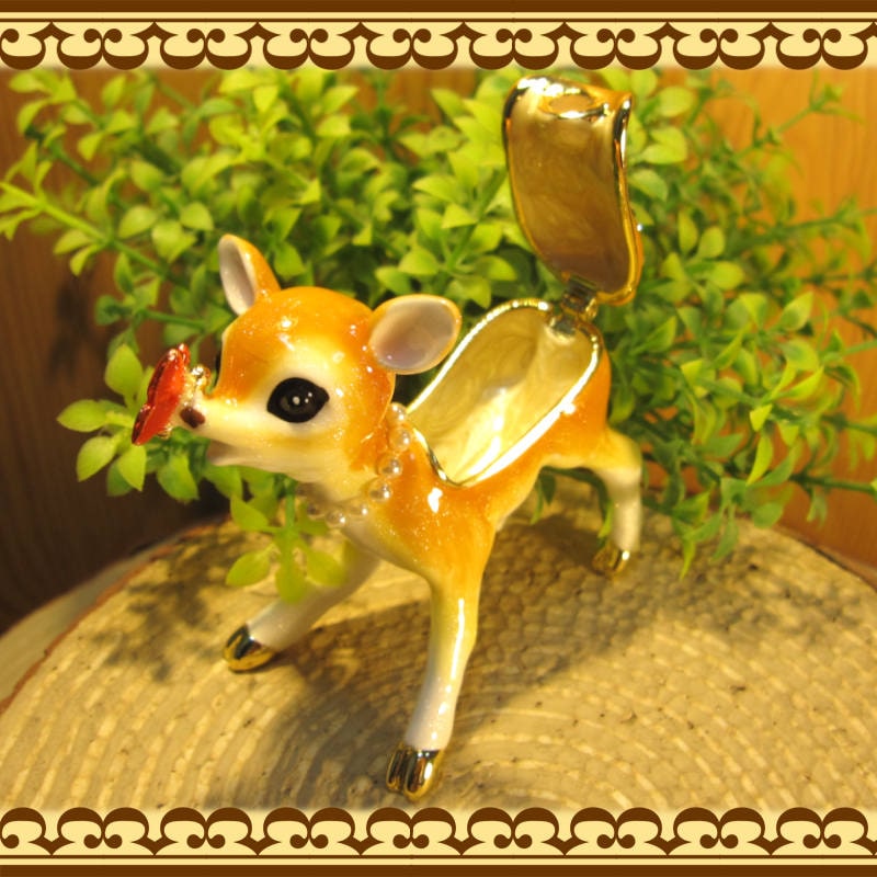 ��������ʪ���Х�ӡ���ʪ���졡�������������奨�꡼������������Ȣ���ȥꥱ��ܥå���������ƥꥢ