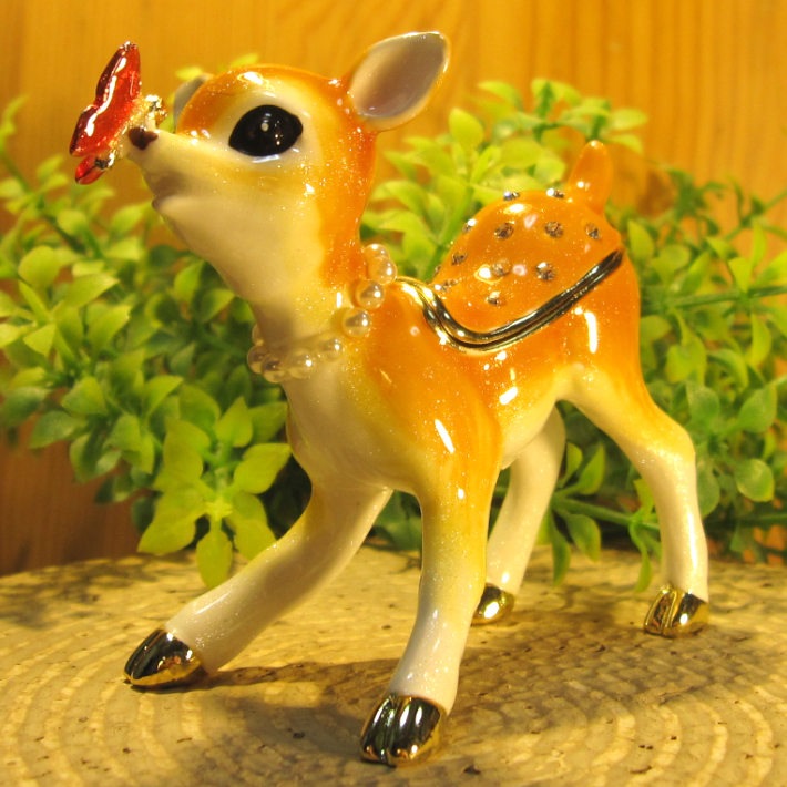 ��������ʪ���Х�ӡ���ʪ���졡�������������奨�꡼������������Ȣ���ȥꥱ��ܥå���������ƥꥢ