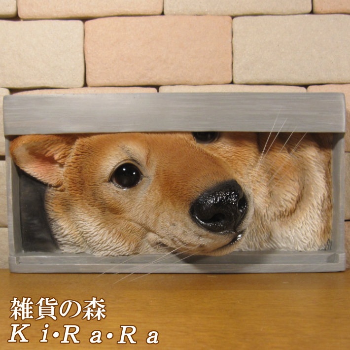 �ꥢ��� ���̤���ʪ���ץ졼�ȡ��ɥå����Ƹ� ���Υ��֥��� ���̥������ Ź������ �������Υ���ƥꥢ�˥����ǥ˥󥰤��Ǻ��