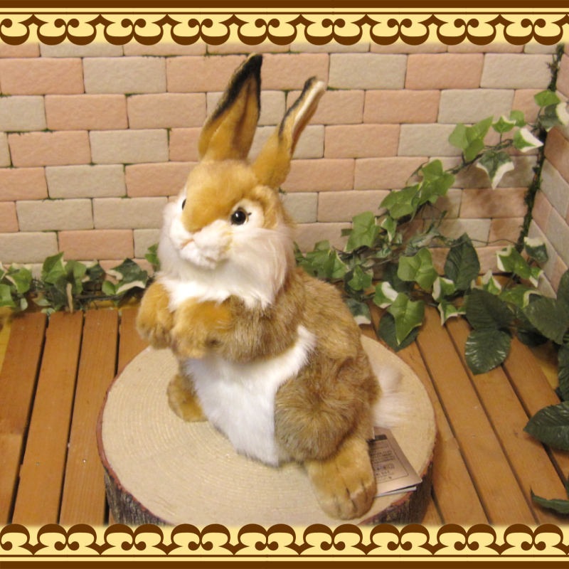 Ω�����������֥饦���礭���ƥꥢ��ʥ������Τ̤�����ߡ���ʪ�����֥���