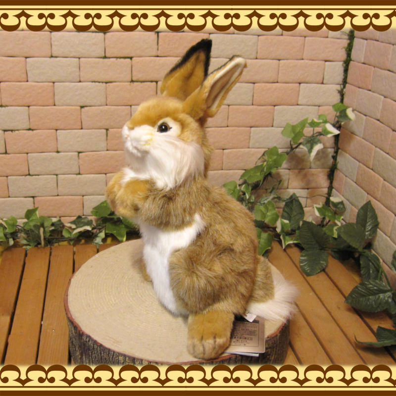 Ω�����������֥饦���礭���ƥꥢ��ʥ������Τ̤�����ߡ���ʪ�����֥���