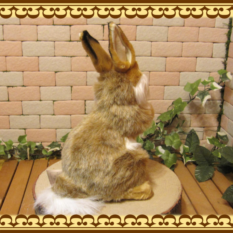 Ω�����������֥饦���礭���ƥꥢ��ʥ������Τ̤�����ߡ���ʪ�����֥���