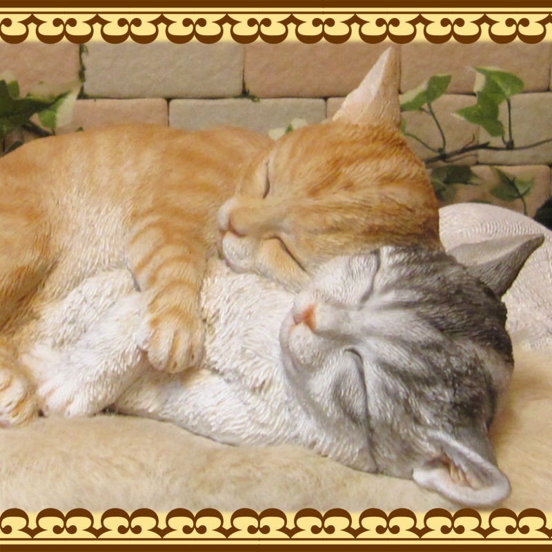 �ꥢ��ʤͤ�����ʪ�����ź�����꡼�ԥ󥰥���åȡ��������ס��쥸�����ͥ��Υե����奢���������Υ���ƥꥢ�˥����ǥ˥󥰤��Ǻ��