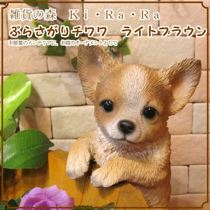 �����饤�ȥ֥饦����ʪ���ꥢ��ʸ��Υ��֥������֤餵����ɥå������̤Υե����������������Υ���ƥꥢ�ˤ����Υ����ʥ��ȤȤ��Ƥ����