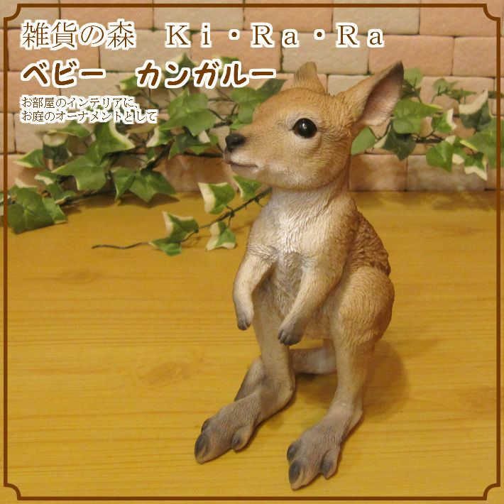 �٥ӡ����󥬥롼����ʪ���ꥢ���ưʪ�Υ��֥��������󤬤롼�Υե����奢�������ǥ˥󥰡��������Υ���ƥꥢ�ˤ����Υ����ʥ��ȤȤ��Ƥ��