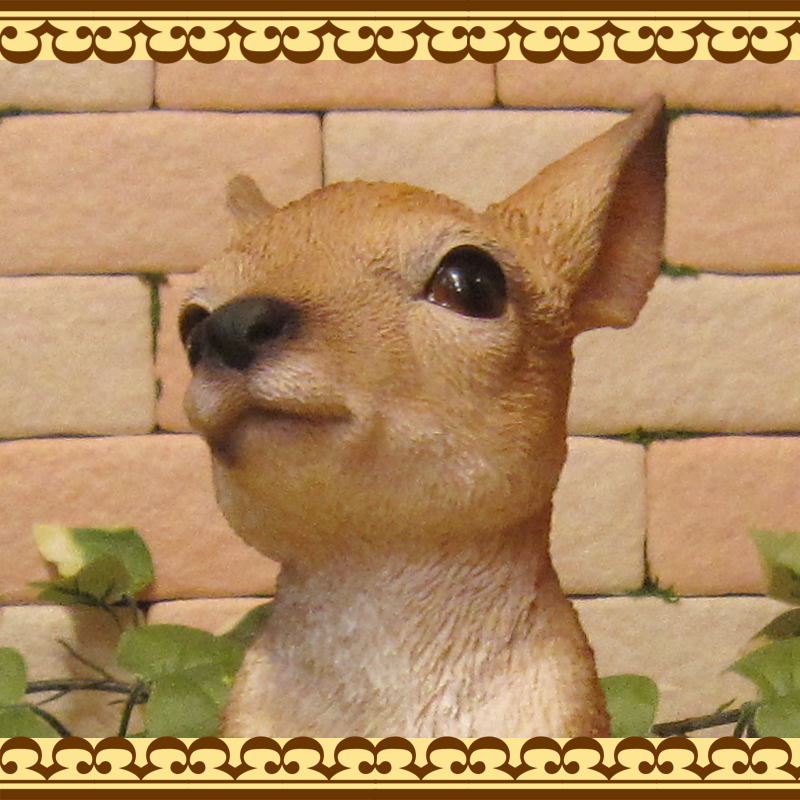 �٥ӡ����󥬥롼����ʪ���ꥢ���ưʪ�Υ��֥��������󤬤롼�Υե����奢�������ǥ˥󥰡��������Υ���ƥꥢ�ˤ����Υ����ʥ��ȤȤ��Ƥ��