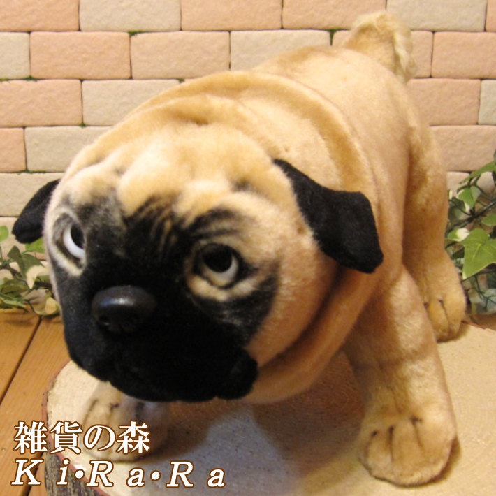 パグ リアルな犬のぬいぐるみ | かわいい動物グッズの通販なら 【雑貨