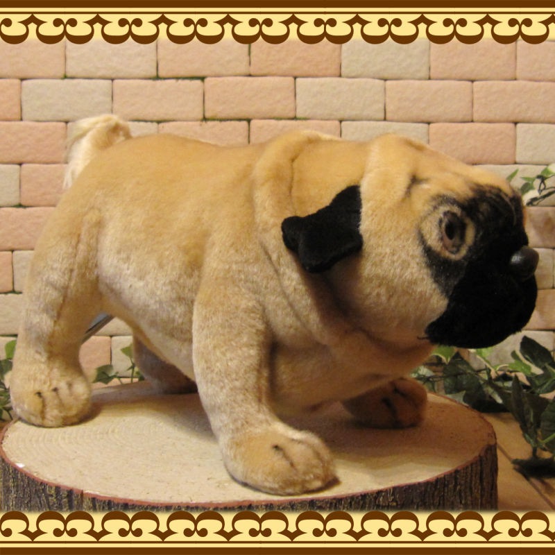 �ѥ����ꥢ��ʸ��Τ̤������