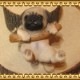 �ꥢ��ʸ�����ʪ���֥�󥳥ɥå����������ס��ѥ������̤Υե����������֥����������ǥ󡡥٥��������ȡ��������Υ���ƥꥢ�ˤ����Υ����ʥ��ȤȤ��Ƥ�