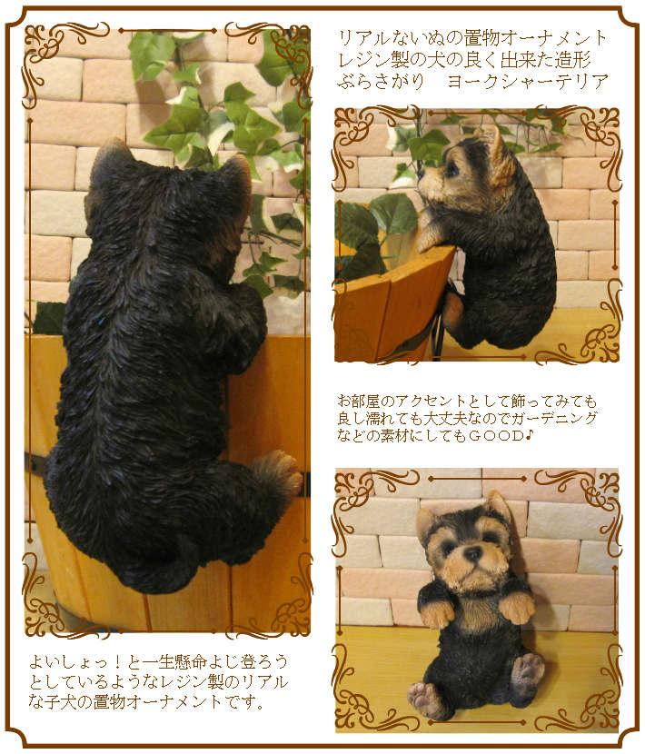 衼㡼ƥꥢʪꥢʸΥ֥֤餵ɥå̤ΥեΥƥꥢˤΥʥȤȤƤ