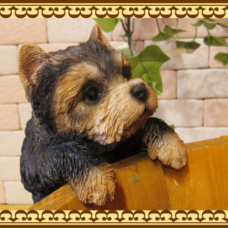 衼㡼ƥꥢʪꥢʸΥ֥֤餵ɥå̤ΥեΥƥꥢˤΥʥȤȤƤ