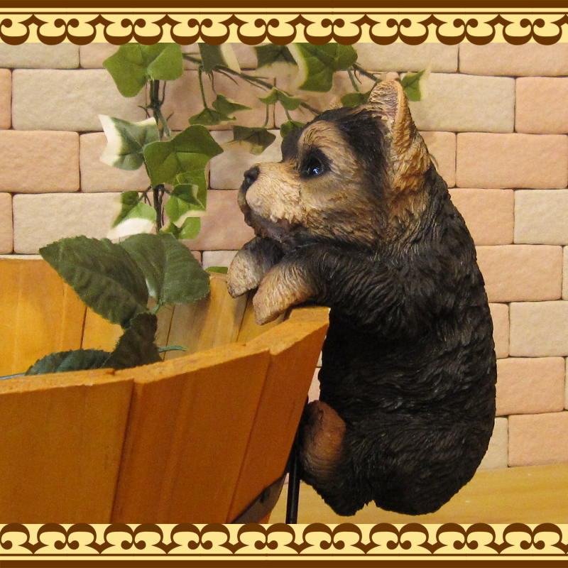 衼㡼ƥꥢʪꥢʸΥ֥֤餵ɥå̤ΥեΥƥꥢˤΥʥȤȤƤ