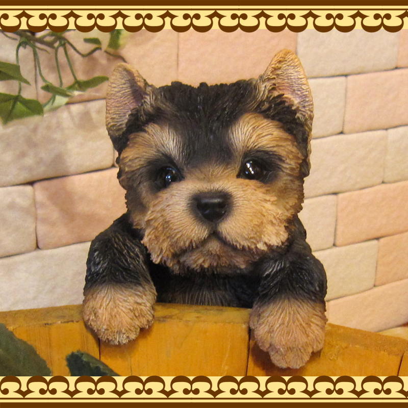 衼㡼ƥꥢʪꥢʸΥ֥֤餵ɥå̤ΥեΥƥꥢˤΥʥȤȤƤ