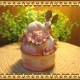 ����������ʪ�����Ȥ���������ʪ���졡��ӥåȡ��Хˡ������奨�꡼������������Ȣ���ȥꥱ��ܥå���������ƥꥢ
