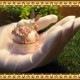����������ʪ�����Ȥ���������ʪ���졡��ӥåȡ��Хˡ������奨�꡼������������Ȣ���ȥꥱ��ܥå���������ƥꥢ