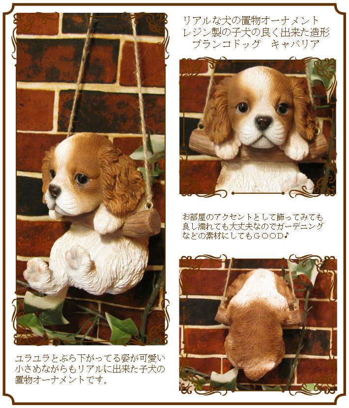 �ꥢ��ʸ�����ʪ���֥�󥳥ɥå����������ס�����Хꥢ�����̤Υե���������Хꥢ�����󥰡����㡼�륺�����ѥ˥�����������Υ���ƥꥢ�ˤ����Υ����ʥ��ȤȤ��Ƥ⡡