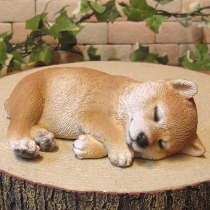 ꥢʸʪƸҤ̡뿲桡¥סǥ֥ʥȡ٥ȡܸФ̡̥֥ե奢