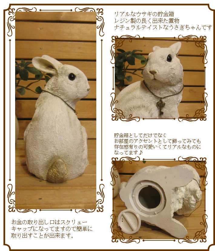 �Ĥ֤��Ʒ���ȤäƤ⥭�塼�Ȣ����ʥ�����ʥ�����������Ȣ  ��ӥå�