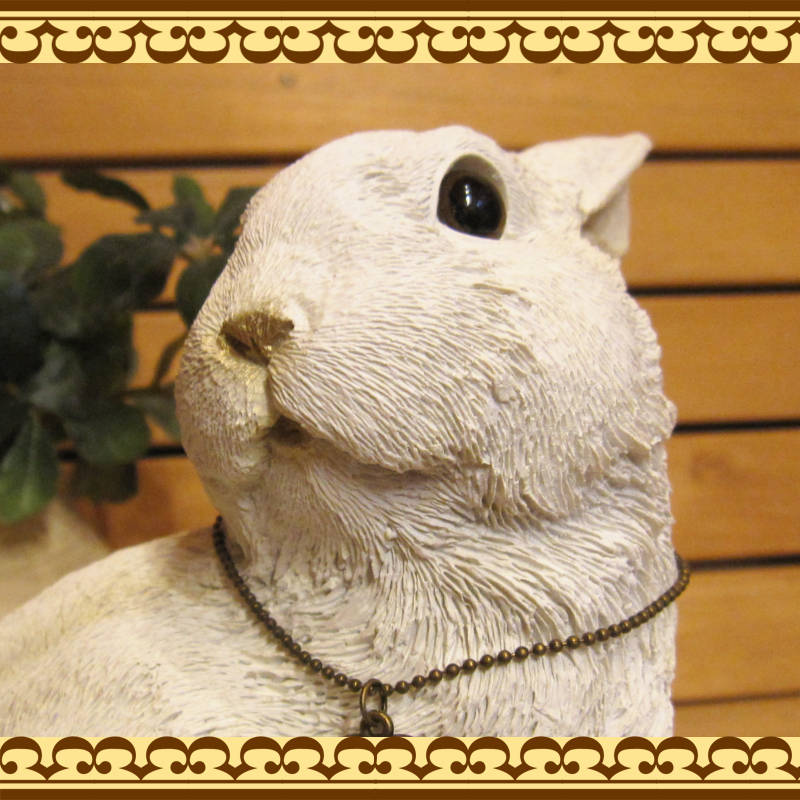 �Ĥ֤��Ʒ���ȤäƤ⥭�塼�Ȣ����ʥ�����ʥ�����������Ȣ  ��ӥå�