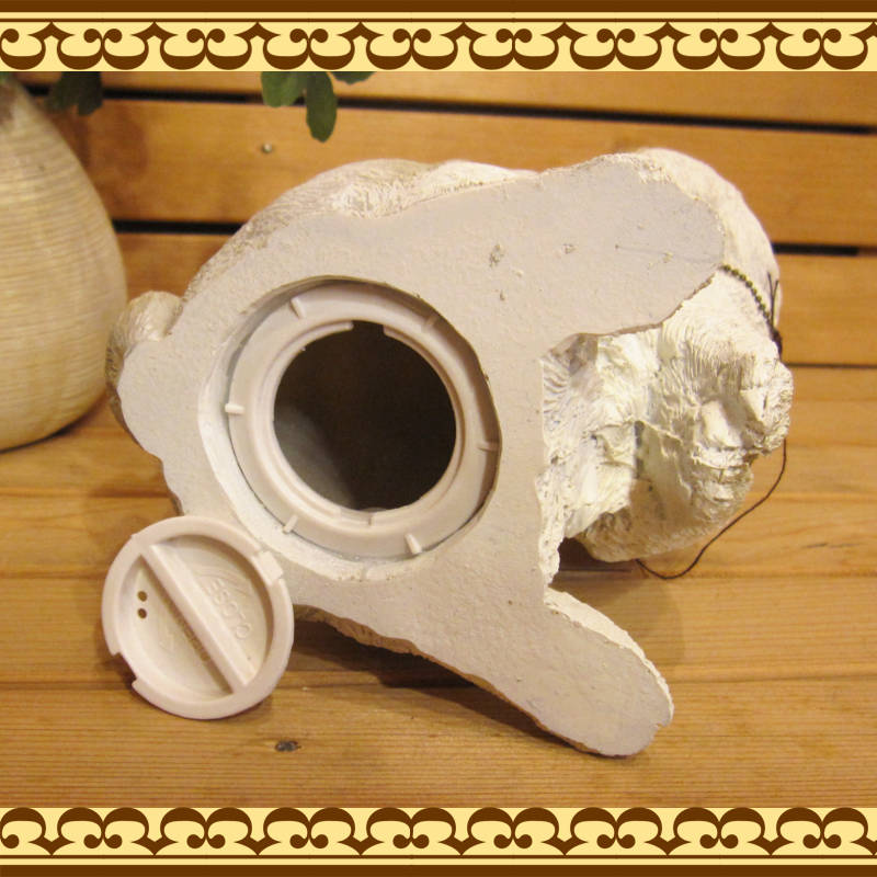 �Ĥ֤��Ʒ���ȤäƤ⥭�塼�Ȣ����ʥ�����ʥ�����������Ȣ  ��ӥå�