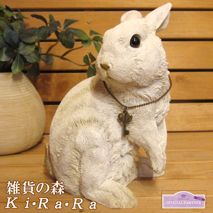 �Ĥ֤��Ʒ���ȤäƤ⥭�塼�Ȣ����ʥ�����ʥ�����������Ȣ  ��ӥå�