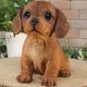 ������ʪ���ƥ��å����ե�ɡ��֥饦��ʥ�åɡˡ��ꥢ��ʸ�����ʪ�����¤� �Ҥ��̡������ǥ�ưʪ���֥����������ʥ��ȡ�Ź�ޡ������󥿡�������������ƥꥢ�������衡��