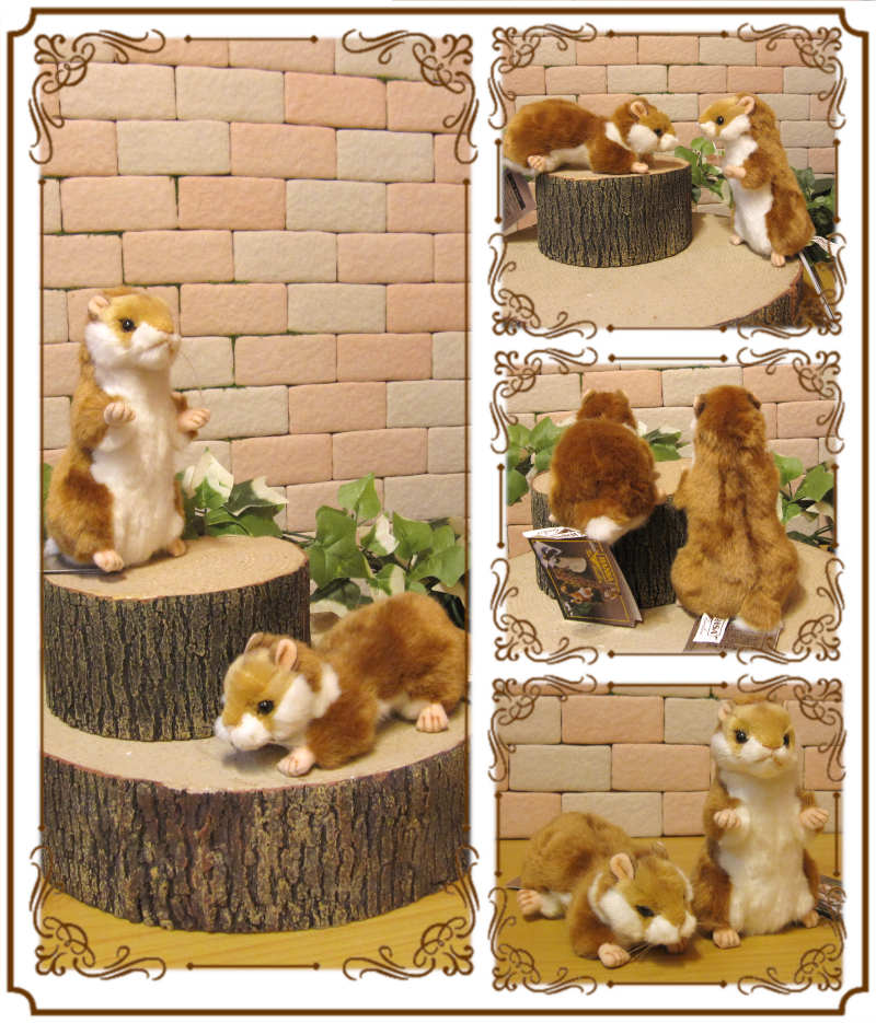 �ꥢ��� ưʪ�� �̤������ �ϥॹ���� ���Υ��å� ���˥ޥ� ���֥��� ����ƥꥢ ���å� �ե����奢