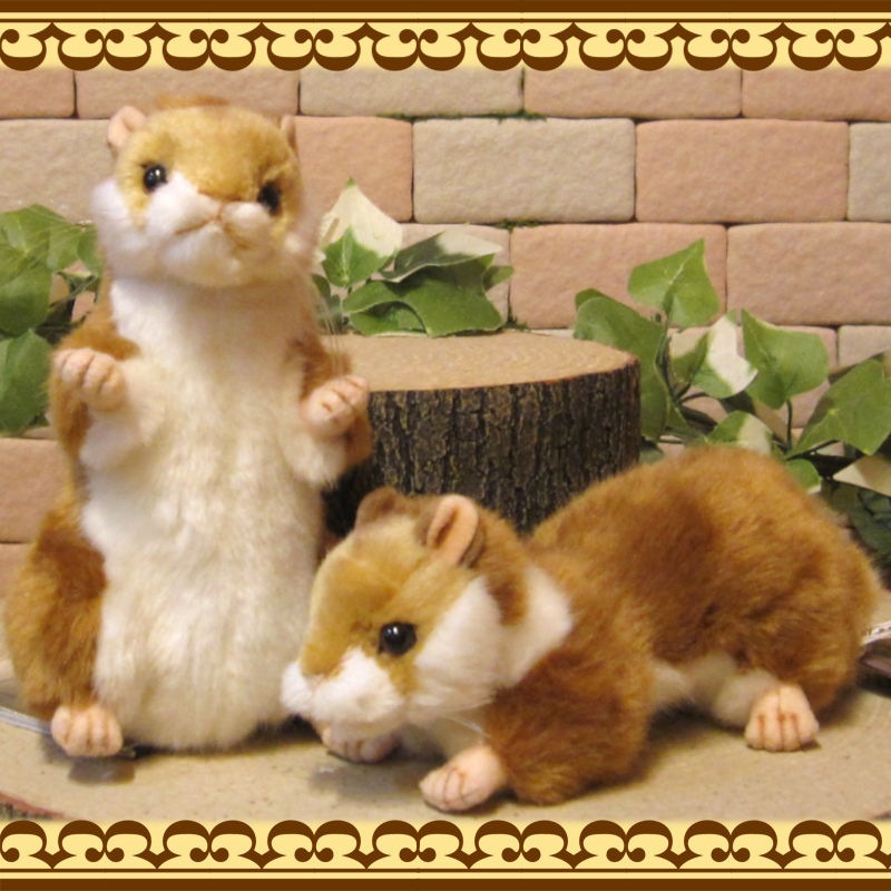 �ꥢ��� ưʪ�� �̤������ �ϥॹ���� ���Υ��å� ���˥ޥ� ���֥��� ����ƥꥢ ���å� �ե����奢